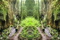 Mirror%20060 (thumbnail)