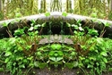 Mirror%20068 (thumbnail)