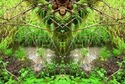Mirror%20069 (thumbnail)
