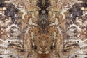 Mirror%20070 (thumbnail)