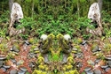 Mirror%20071 (thumbnail)