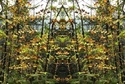 Mirror%20073 (thumbnail)