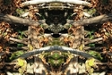 Mirror%20074 (thumbnail)