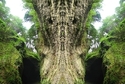 Mirror%20076 (thumbnail)