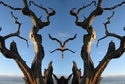 Mirror%20092 (thumbnail)