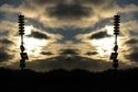 Mirror%20094 (thumbnail)