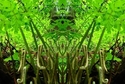 Mirror%2061 (thumbnail)