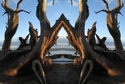 Mirror%20093 (thumbnail)