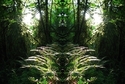 Mirror%20100 (thumbnail)