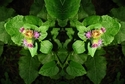 Mirror%20105 (thumbnail)