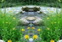Mirror 106 Mirror%20106 (thumbnail)
