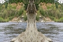 Mirror 108 Mirror%20108 (thumbnail)