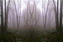 Mirror 008 Mirror%20008 (thumbnail)