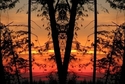 Mirror%20046 (thumbnail)
