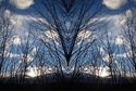 Mirror%20050 (thumbnail)