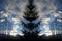 Mirror%20051 (thumbnail)