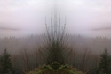 Mirror 001 Mirror%20001 (thumbnail)