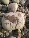 Rock%20006 (thumbnail)