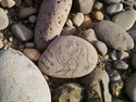 Rock%20007 (thumbnail)