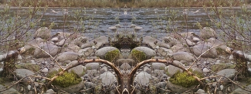 Mirror 120 Mirror%20120 (thumbnail)