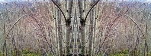 Mirror%20127 (thumbnail)