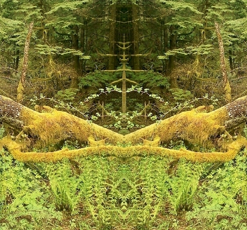Mirror Project: Forest/Flowers