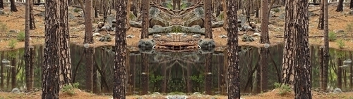 Mirror%20273 (thumbnail)