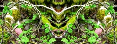 Mirror%20054 (thumbnail)