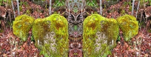 Mirror%20072 (thumbnail)