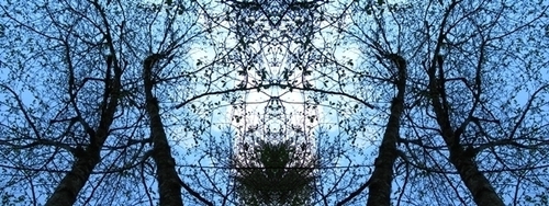 Mirror 078 Mirror%20078 (thumbnail)