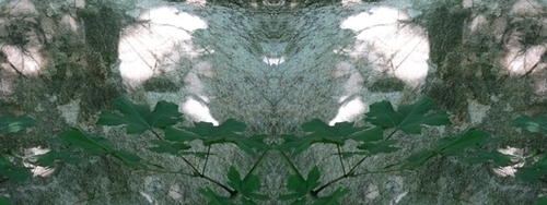 Mirror%20096 (thumbnail)