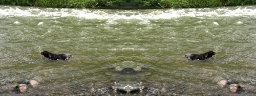 Mirror 110 Mirror%20110 (thumbnail)