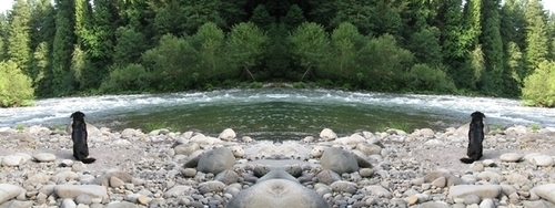 Mirror 111 Mirror%20111 (thumbnail)