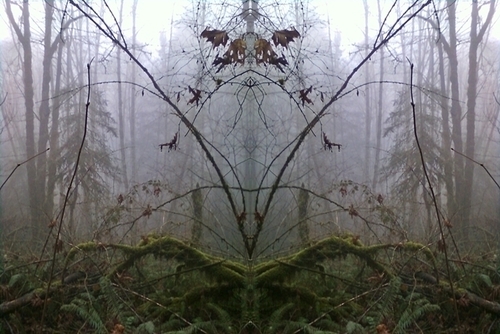 Mirror Project: Mists/Ice