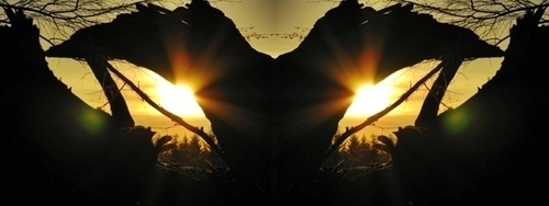 Mirror%20045 (thumbnail)