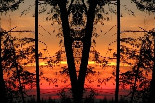 Mirror Project:  Sky