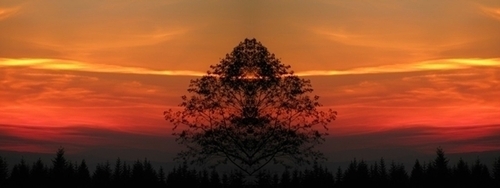 Mirror%20047 (thumbnail)
