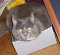 Mixed Media--RepresentationalTrippy in a box