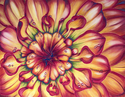Dahlia%20Rainbow (thumbnail)