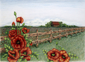 Field%20Poppies (thumbnail)
