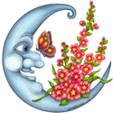Hollyhock%20Dreamer (thumbnail)