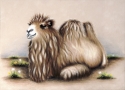 Aria%20Resting (thumbnail)