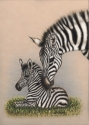A%20Zebra%27s%20Love (thumbnail)