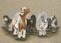 80%27s%20Hair%20Band%20-%20Miniature%20Horses (thumbnail)