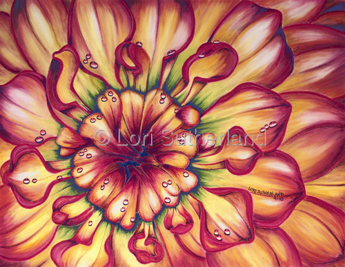 Dahlia%20Rainbow (large view)