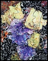 Urban Iris