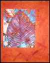 Canna Leaf