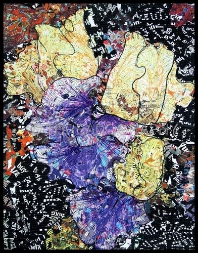 Urban Iris