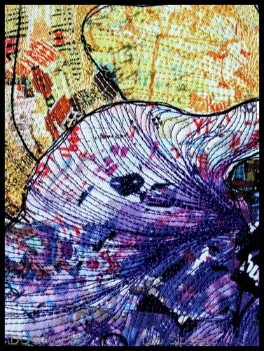 Urban Iris detail