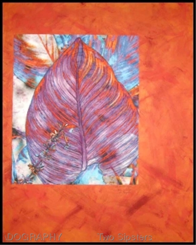 Canna Leaf